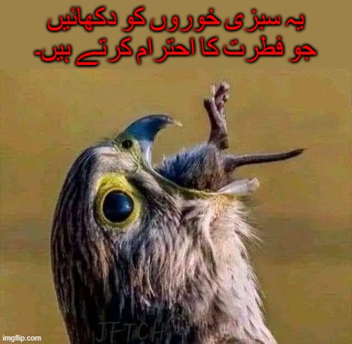 یہ سبزی خوروں کو دکھائیں جو فطرت کا احترام کرتے ہیں۔