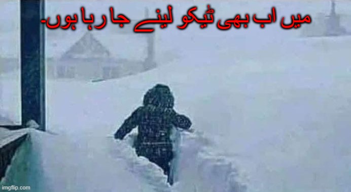 میں اب بھی ٹیکو لینے جا رہا ہوں۔