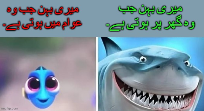 میری بہن