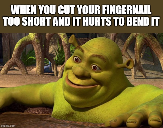 Shrek Screaming - Imgflip