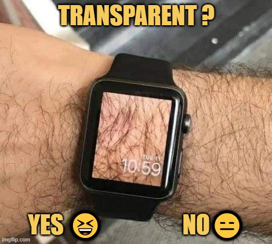meme Rate my transparent wrist watch 
