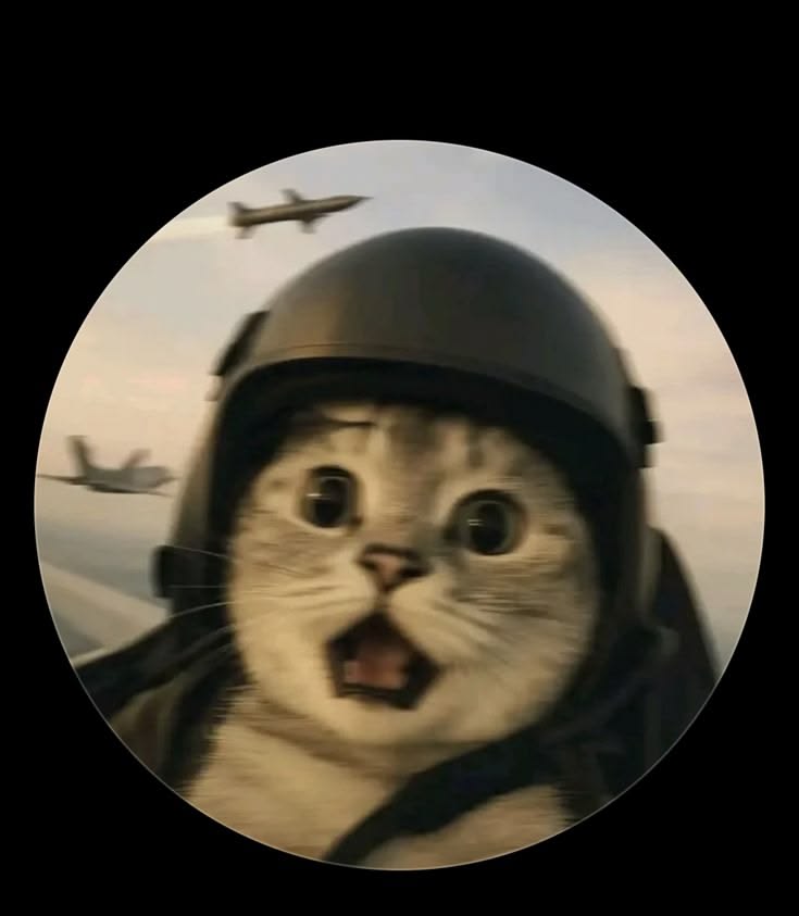 pilot pussy meme template