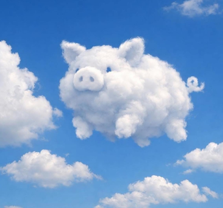 Cloud Pig 
