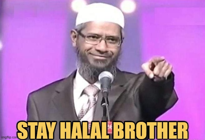 stay halal zakir naik meme template