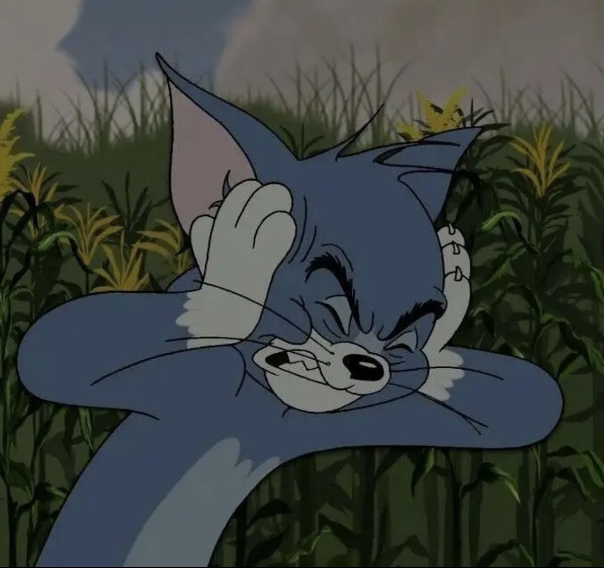 Loud For Tom