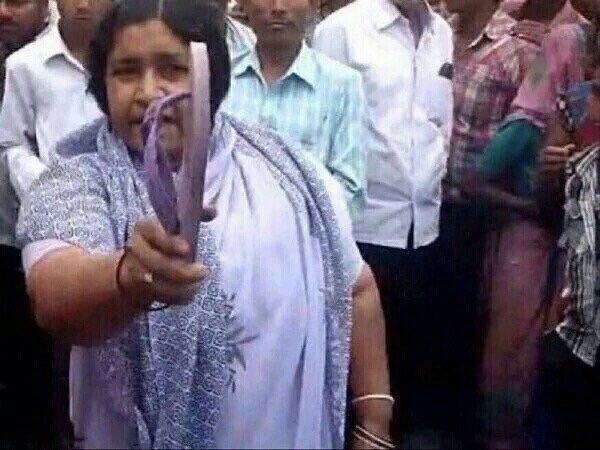 Dog byte slipper shot