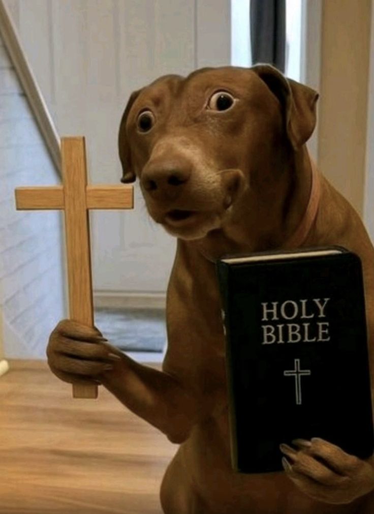 Holy Dog Preacher