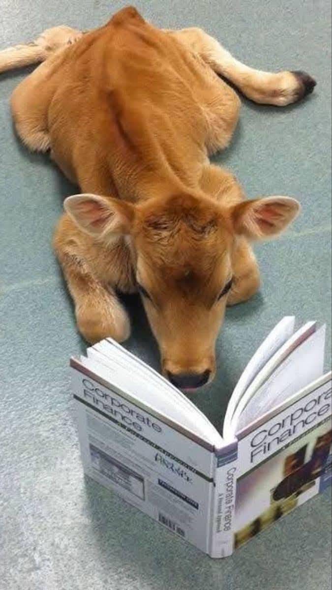 How my mom sees me when I'm studying.