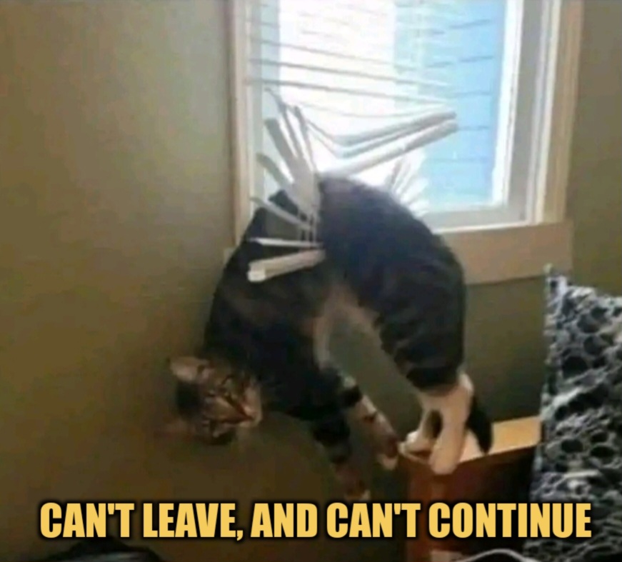 Can't leave and can't continue use it for today 