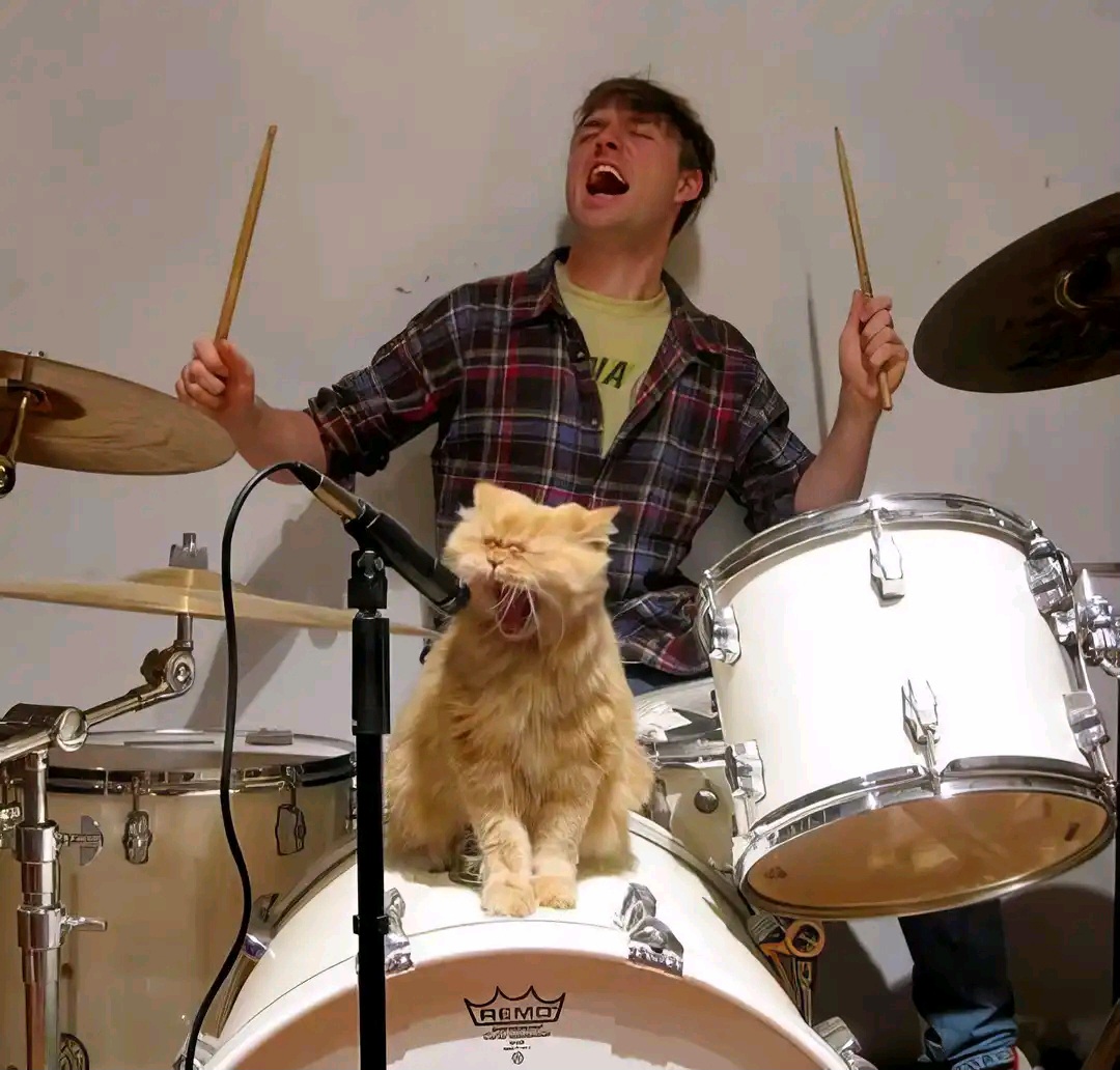 A man and a  cat singing 