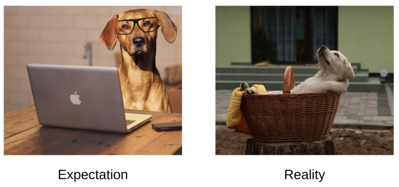 Expectation Vs Reality 