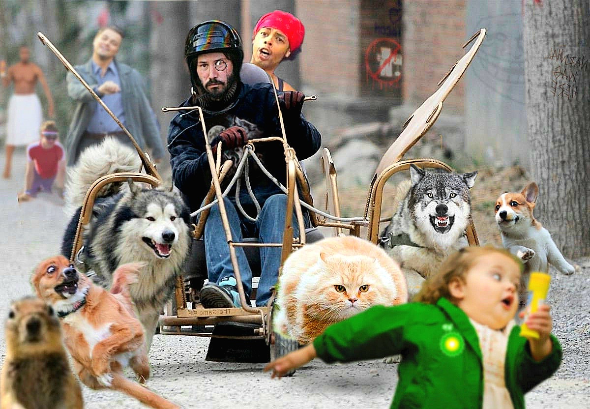 Many memes comedian together 