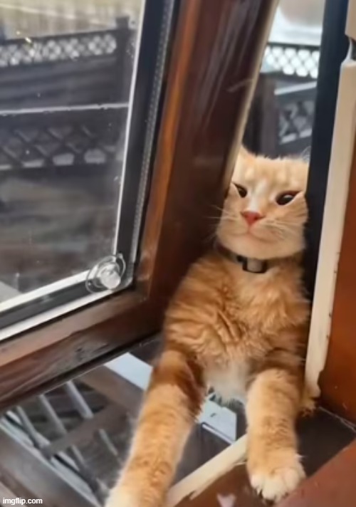 Let Me In