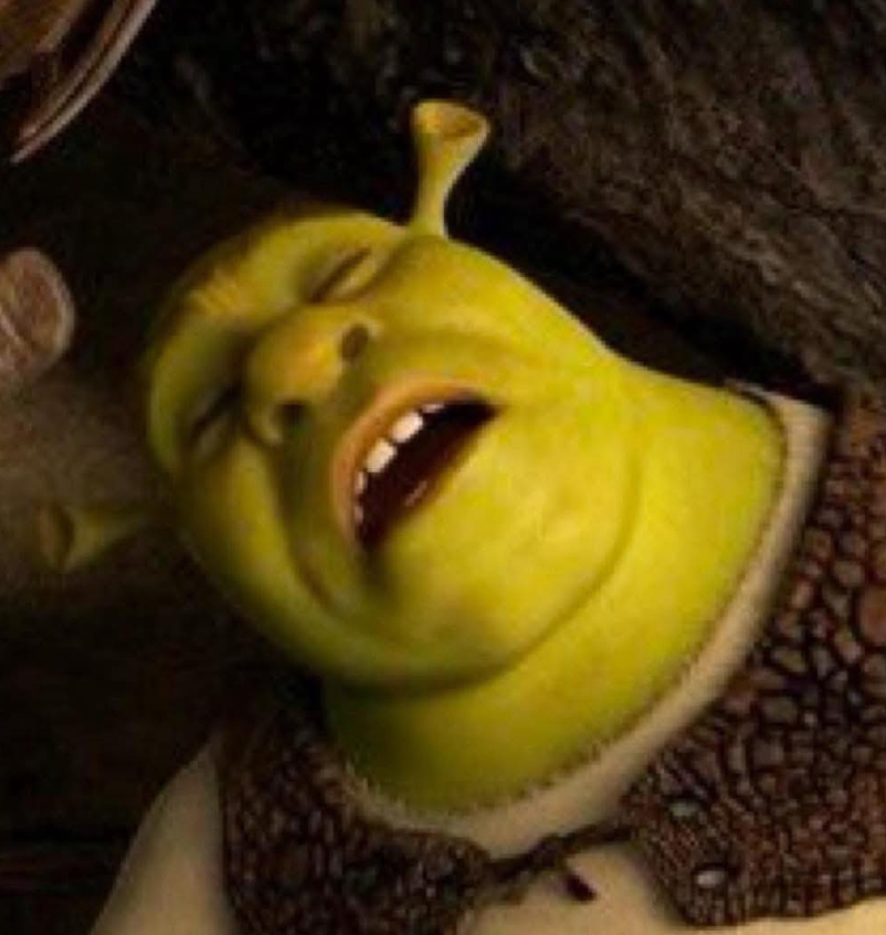 Sleeping Shrek 