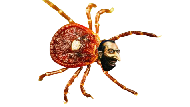 DW