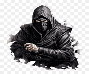 Ninja