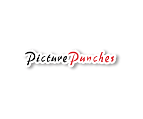 PicturePunches