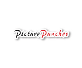 PicturePunches