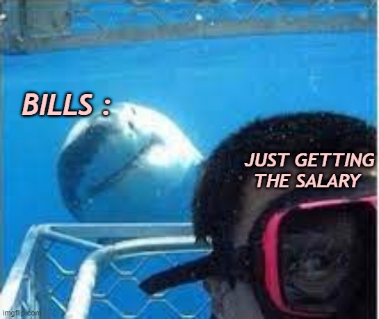 meme All will go to bills 