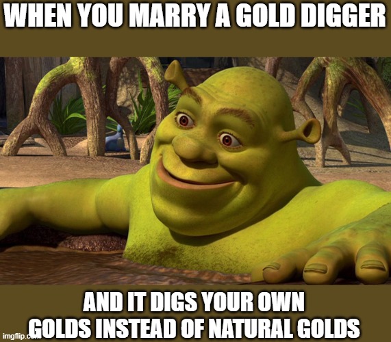 meme gold diggers 