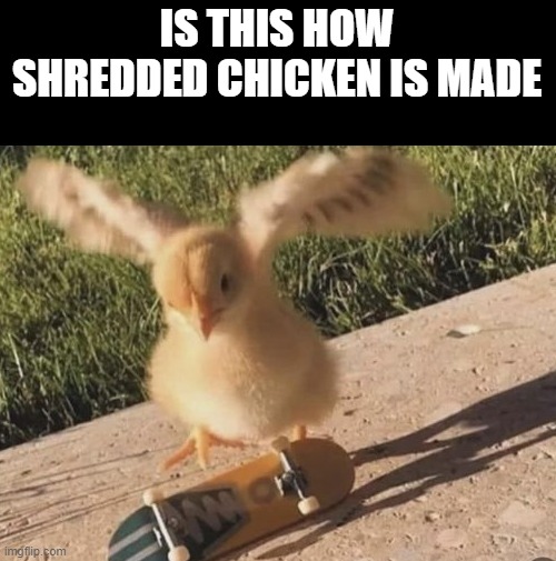 meme shredded chicken