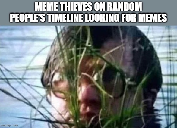 meme meme thieves 