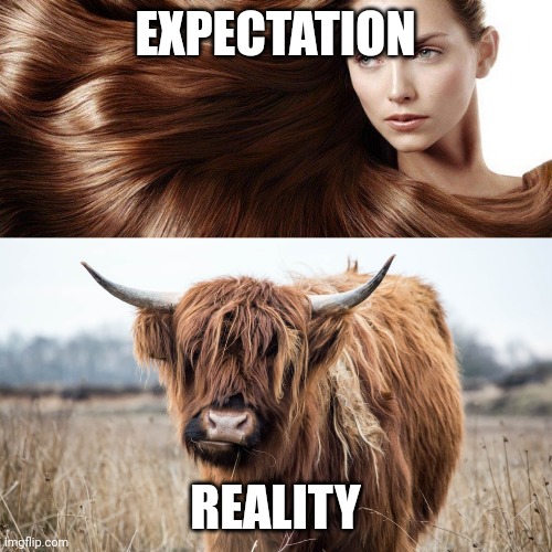 After watching shampoo ads my expectation vs reality