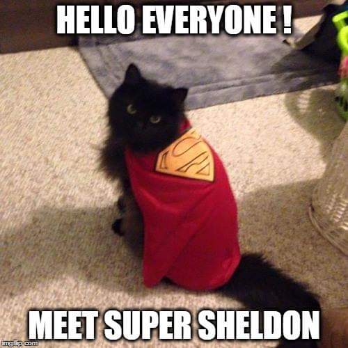 Super Sheldon to the rescue 💨💨