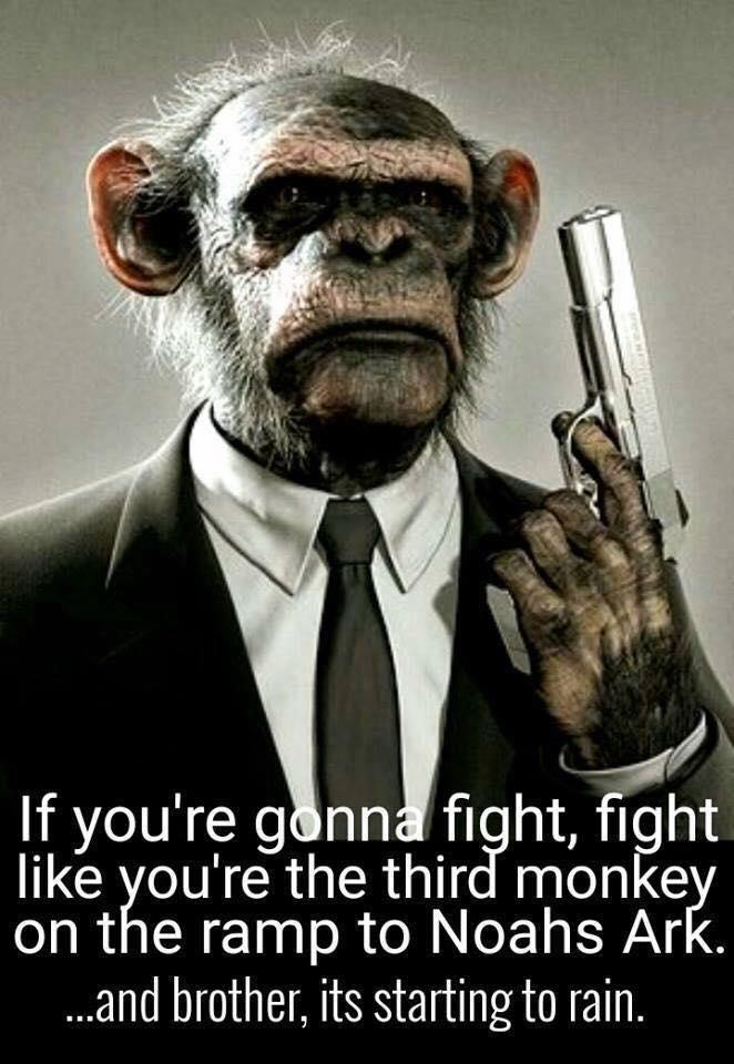 Are you a Chimp, or are you a Chump?