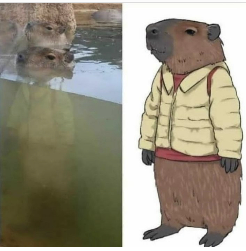 Capybara in a coat