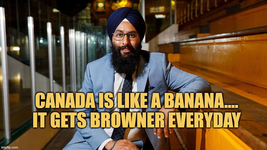 Canada getting browner everyday
