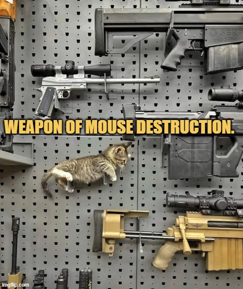 Most violent weapon
